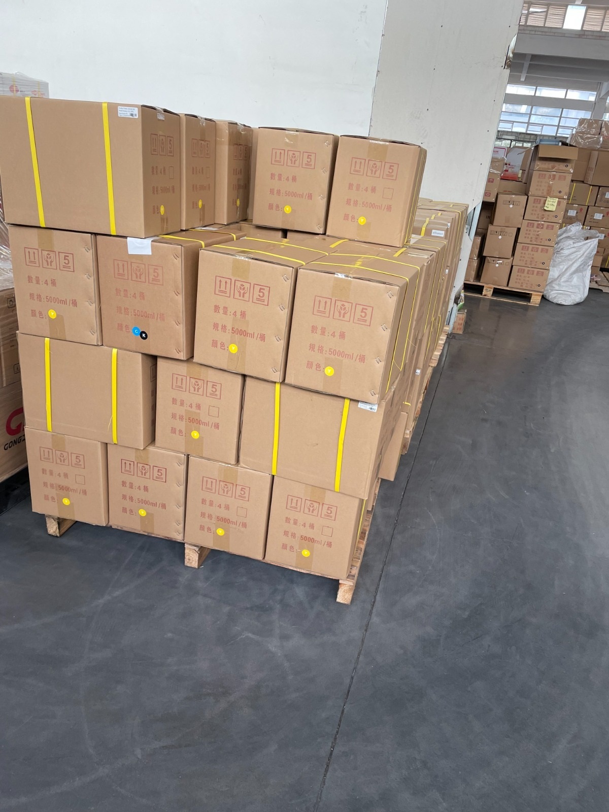 Client Testimonial 6